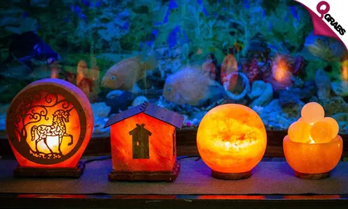 Himalayan Pink Salt Lamps!